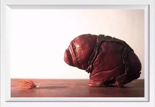 石头比喻两个人的爱情 石头打中腿的爱情寓意