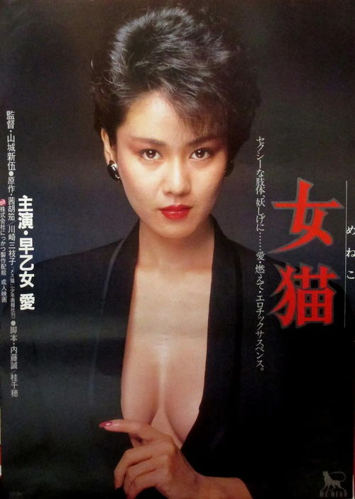 离婚以后高干耳东兔子 离婚以后陈安安小说