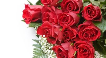 第一次送花给女朋友贺卡怎么写 给正在追求的女孩贺卡