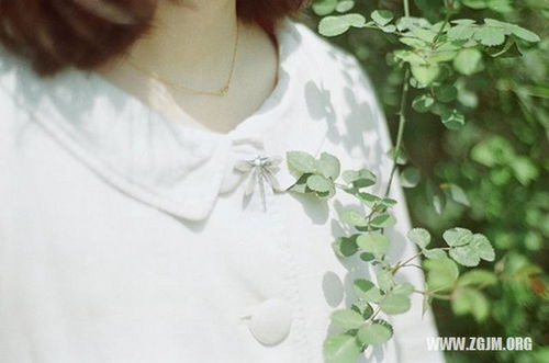 离异者梦到前任婆婆 离婚女人梦见前夫的妈妈