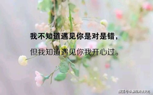 离婚后释然的句子 离婚最火走心的句子