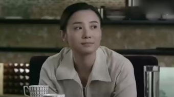 离婚电视剧免费观看全集 电视剧《离婚协议》