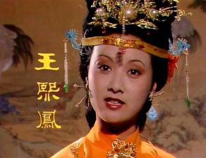 红楼梦十大心机女人 红楼梦的丫鬟们很诡异