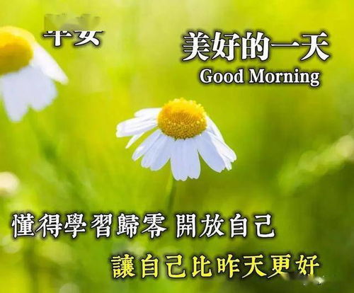 给喜欢的人早安暖心话 女人最想听的早安情话