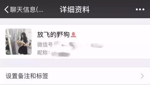 给女朋友的浪漫备注 女朋友怎么备注才亲密