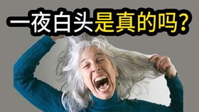 第三种爱情想表达什么 第三种爱情电影介绍剧情