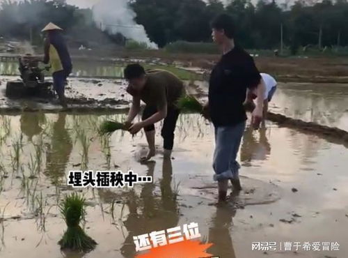 给女朋友插秧是什么意思 男生和女生应该怎么插秧