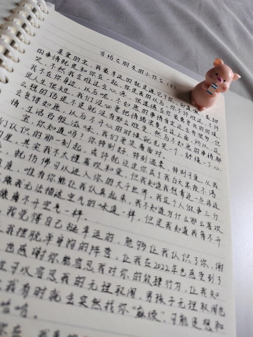 给女朋友的小作文500字 给刚在一起的女朋友写小作文