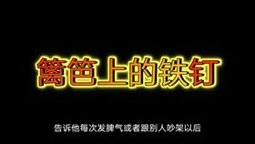 篱笆女人狗三部曲主题歌歌词 篱笆女人的三部电视剧