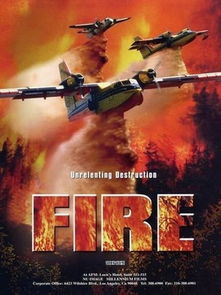 绝情的全部演员表 绝情的演员表