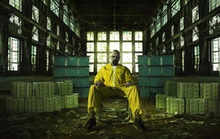 绝命毒师老婆出了几次轨 绝命毒师妻子最后怎么样了