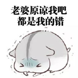 给老婆道歉认错挽回信 给对象道歉认错500字