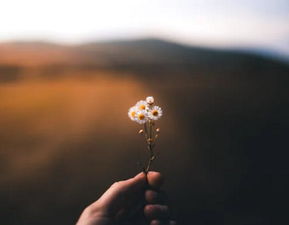 给女朋友道歉挽回最感动的话 挽回女友感动到哭的信