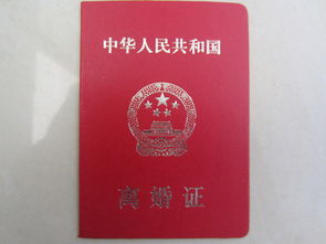 网络离婚证怎么办理 手机申请离婚平台是什么
