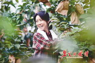 翠兰的爱情40集免费 翠兰的爱情集电视剧免费观看36集