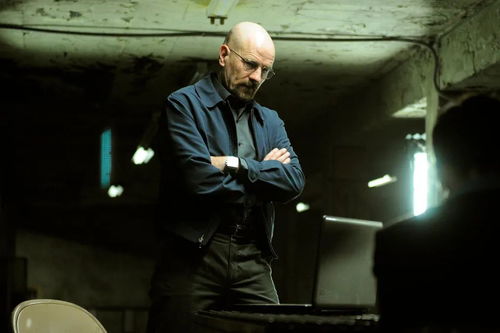 绝命毒师男主老婆下场 绝命毒师主角的妻子结局