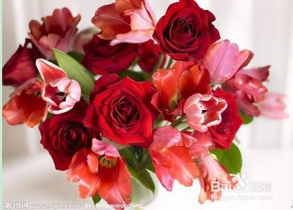 给女朋友送什么礼物最好 女人最渴望三种礼物