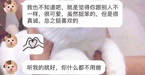 网恋对象 网恋对象哪里找