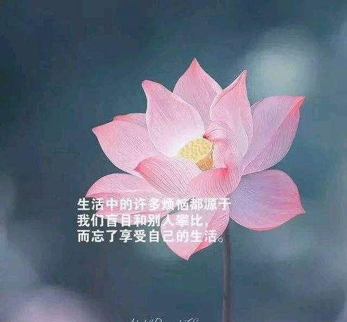 给老公一天一句心情早安语 对老公撒娇的早安语