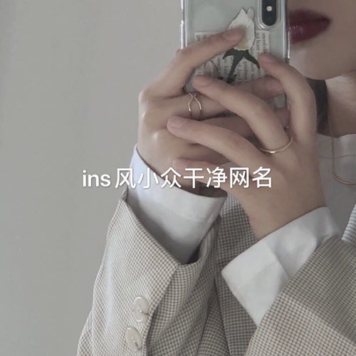 网名女生ins高级小众 韩系ins风女生网名