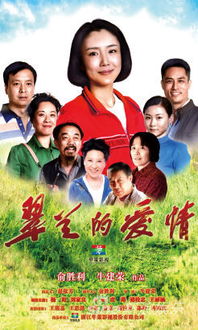 翠兰的爱情40集剧情简介 1-42集完整剧情介绍