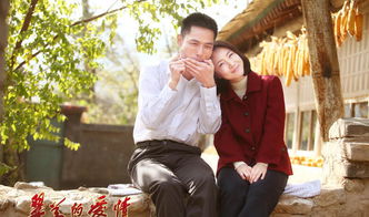 翠兰的爱情全集第36集 翠兰的爱情电视剧全集免费观看