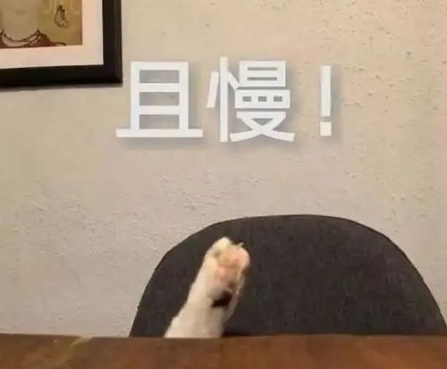 老公偷偷联系前任说明什么 骚扰前任的人什么心态