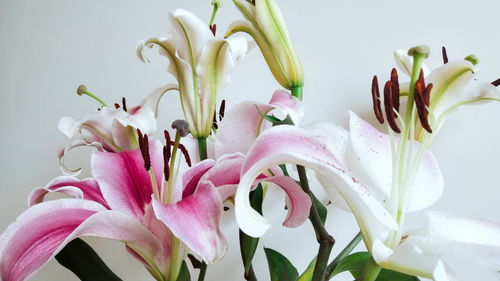 老公和别的女人聊天我该怎么办 老公总是跟别的女的聊天我该怎么办