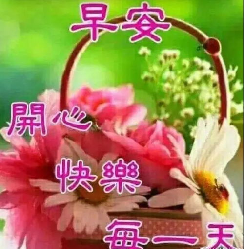 老公早上好暖心的话 早上好早安祝福语录