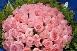 老婆生日送什么花最好 老婆50岁生日宴发言稿