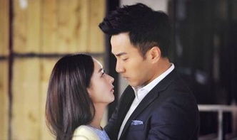 老婆爱上我电视剧全集免费 老婆爱上我CCTV电视剧