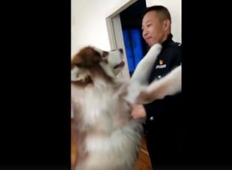 老婆闹离婚我一挽留她就反感 老婆闹离婚挽回的最佳时间