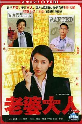 老婆大人第一部粤语电视剧 老婆大人港剧粤语免费