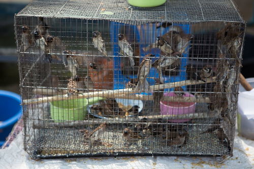 老婆拉黑我所有联系方式心理 老婆拉黑我了怎么办啊