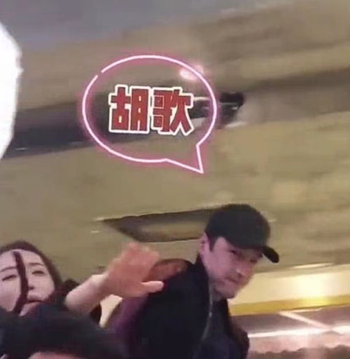 胡歌老婆黄曦宁有多高 黄曦宁很壮