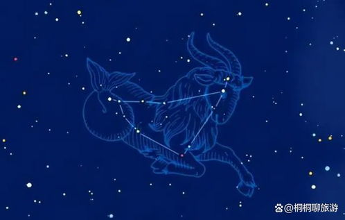 能驾驭月亮摩羯男的女生 月亮摩羯男喜欢粘他的女生