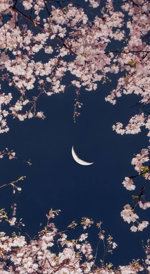 老实男人的特征 长相老实的男人什么样