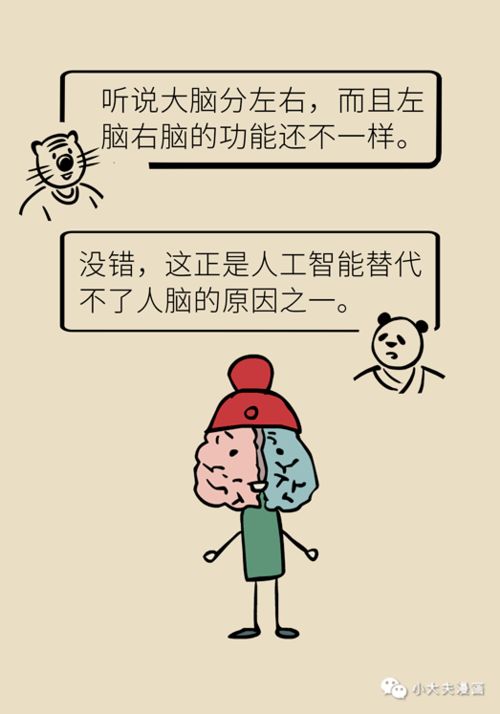 聪明有头脑的男人表现 头脑灵活的人主要表现