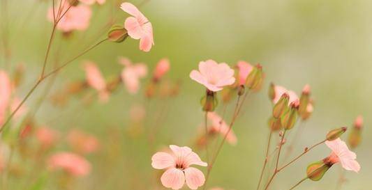 聚会总是带老婆的男人 走哪都愿意带媳妇的男人