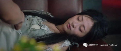 至尊龙帝主角多少老婆 异世仙尊女主角有几个
