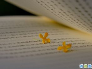 老年人的爱情文案 老人说的经典语录爱情简短