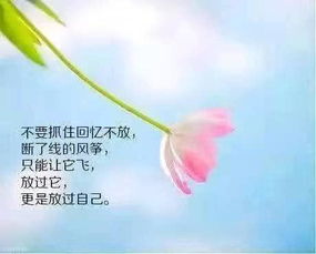 致我们相识20年的爱情 夫妻相识二十年感言简短