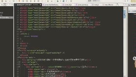 表白代码大全可复制 2023最火表白代码
