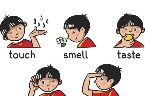 表白的高级英文 超甜的英文表白句子