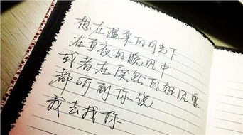 表白情书500字写给女生 500字表白的话真实点的