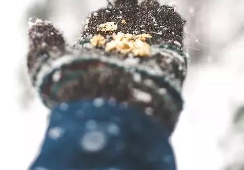 表白失败后的伤感句子 表白被拒绝的伤感语录