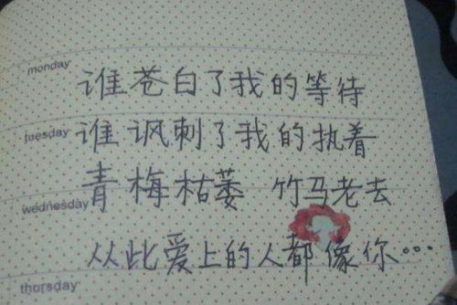 表白300字给女生的 写给女生的情书学生版