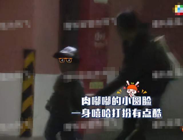 葛优妻子个人资料 葛优老来得子是谁生的