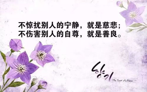 花心女人的经典句子 花心文案名句