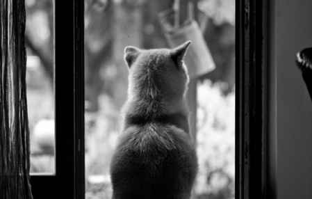 表白失败后6个挽回方法 女孩表白失败后的补救